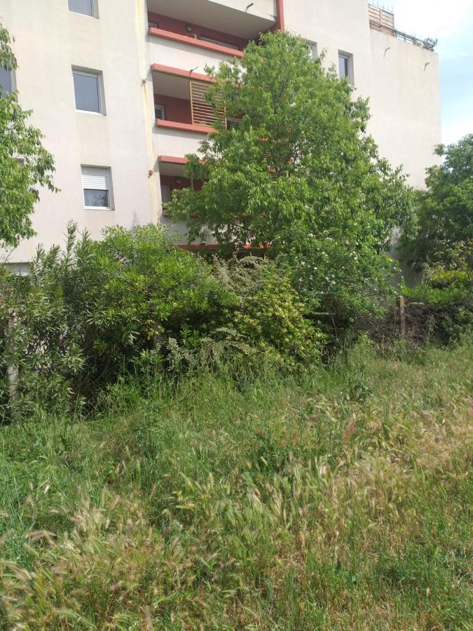 Ferienwohnung Le Nomade, Parc Montcalm Et Stationnement Prive Montpellier Exterior foto